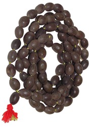 Manufacturers Exporters and Wholesale Suppliers of Kamalgatta Mala Delhi Delhi